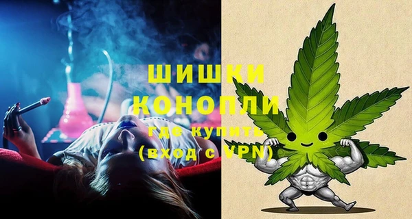 гашик Володарск