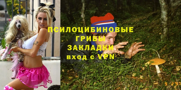 гашик Володарск